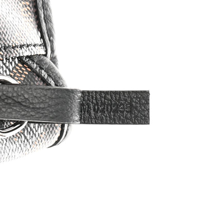 Goyard Goyardine Saint Louis PM Black 8 of 12