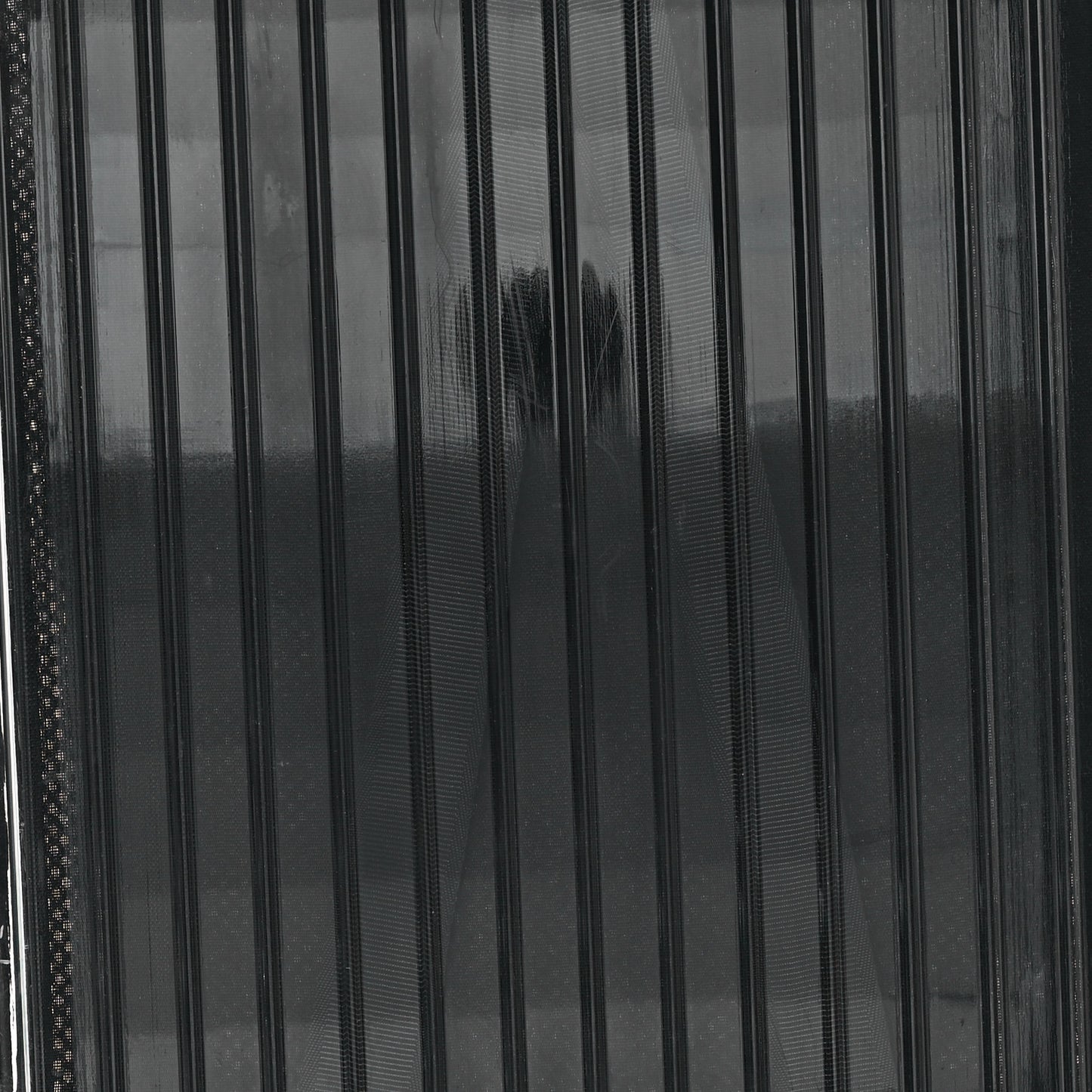 X RIMOWA Polycarbonate Luggage Transparent