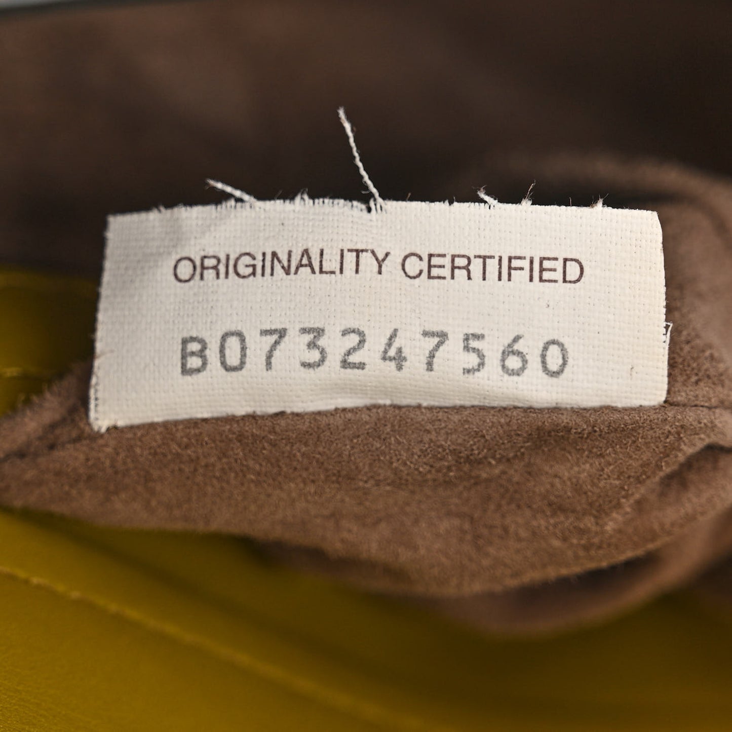 French Calfskin Intrecciato Wingtip City Knot Bag