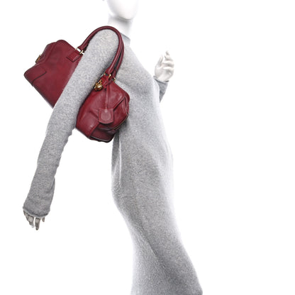 Loewe Calfskin Amazona 36 Burgundy 2 of 9