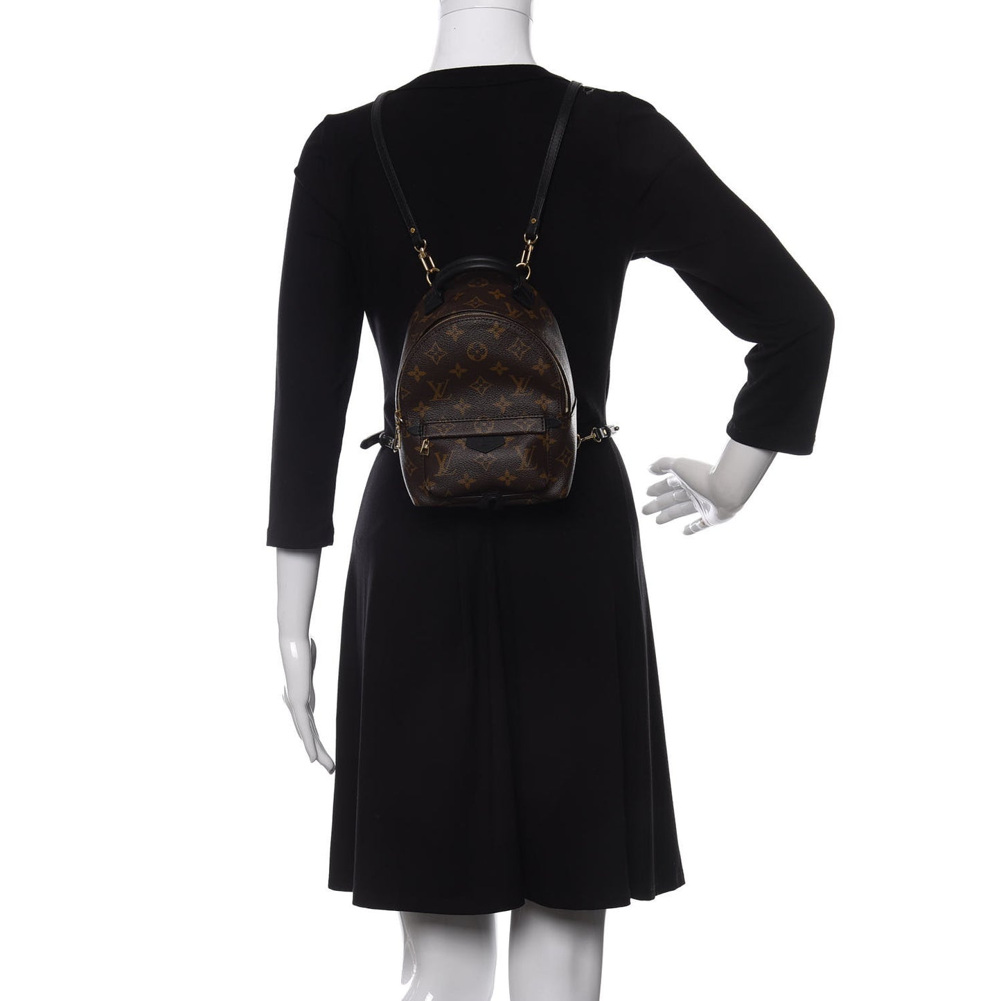 Monogram Palm Springs Backpack Mini