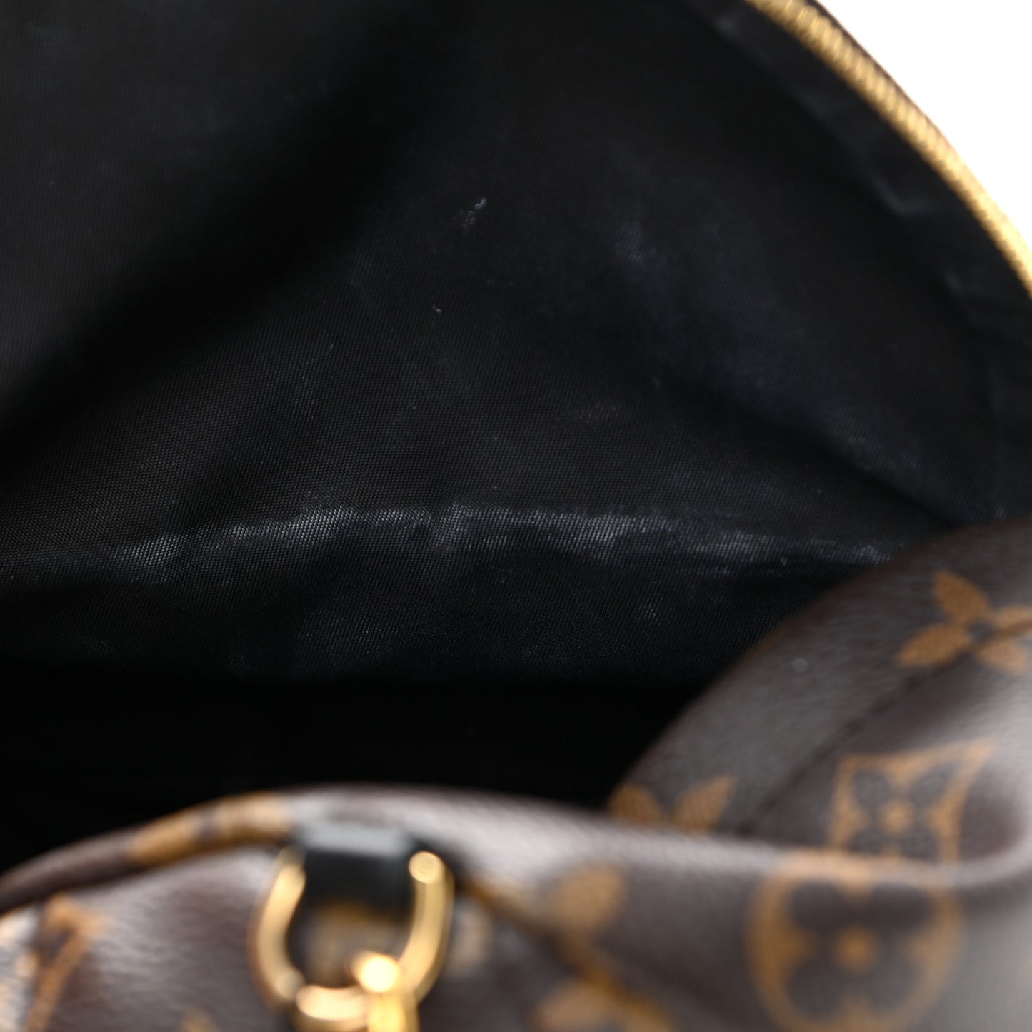 Monogram Palm Springs Backpack Mini