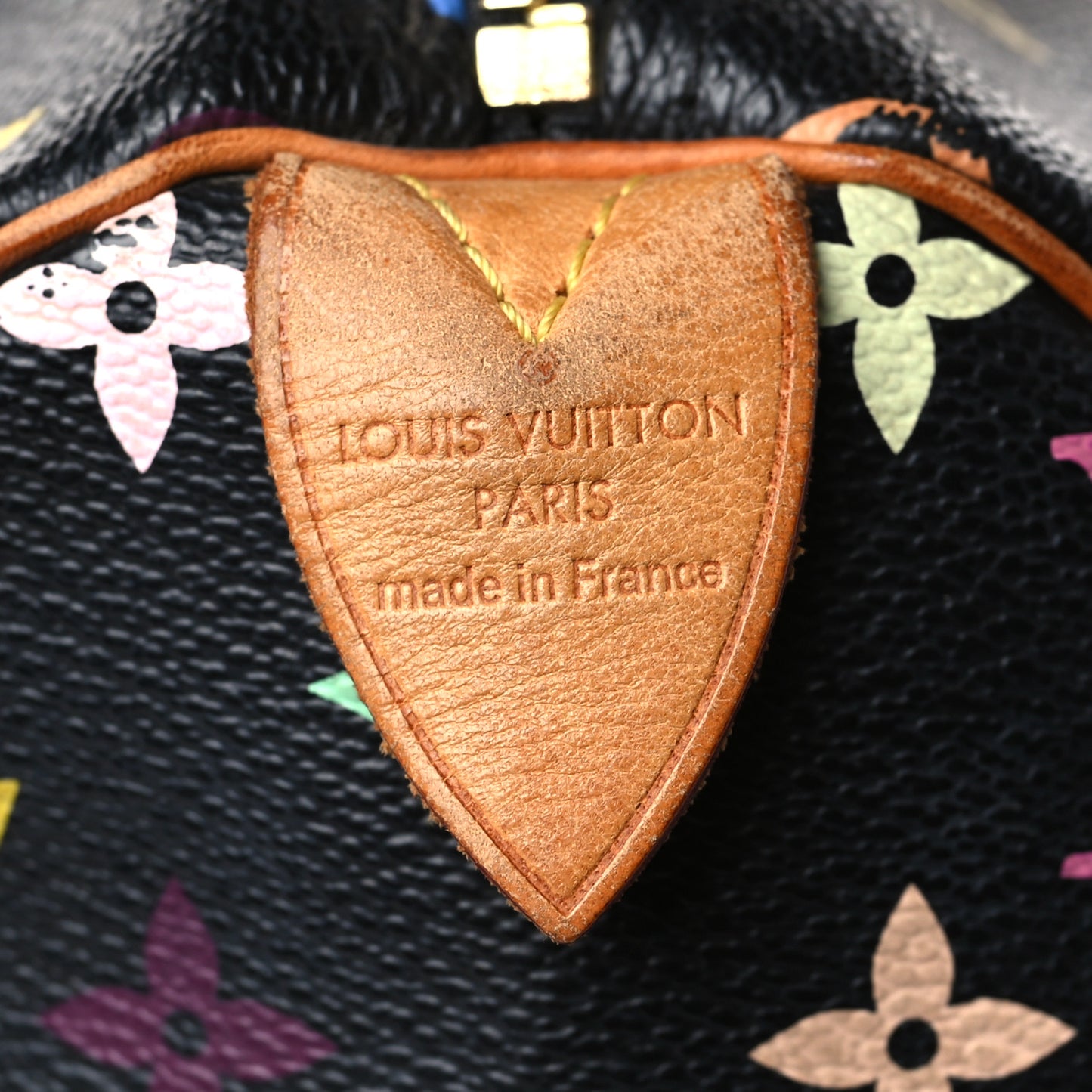 Monogram Multicolor Speedy 30 Black