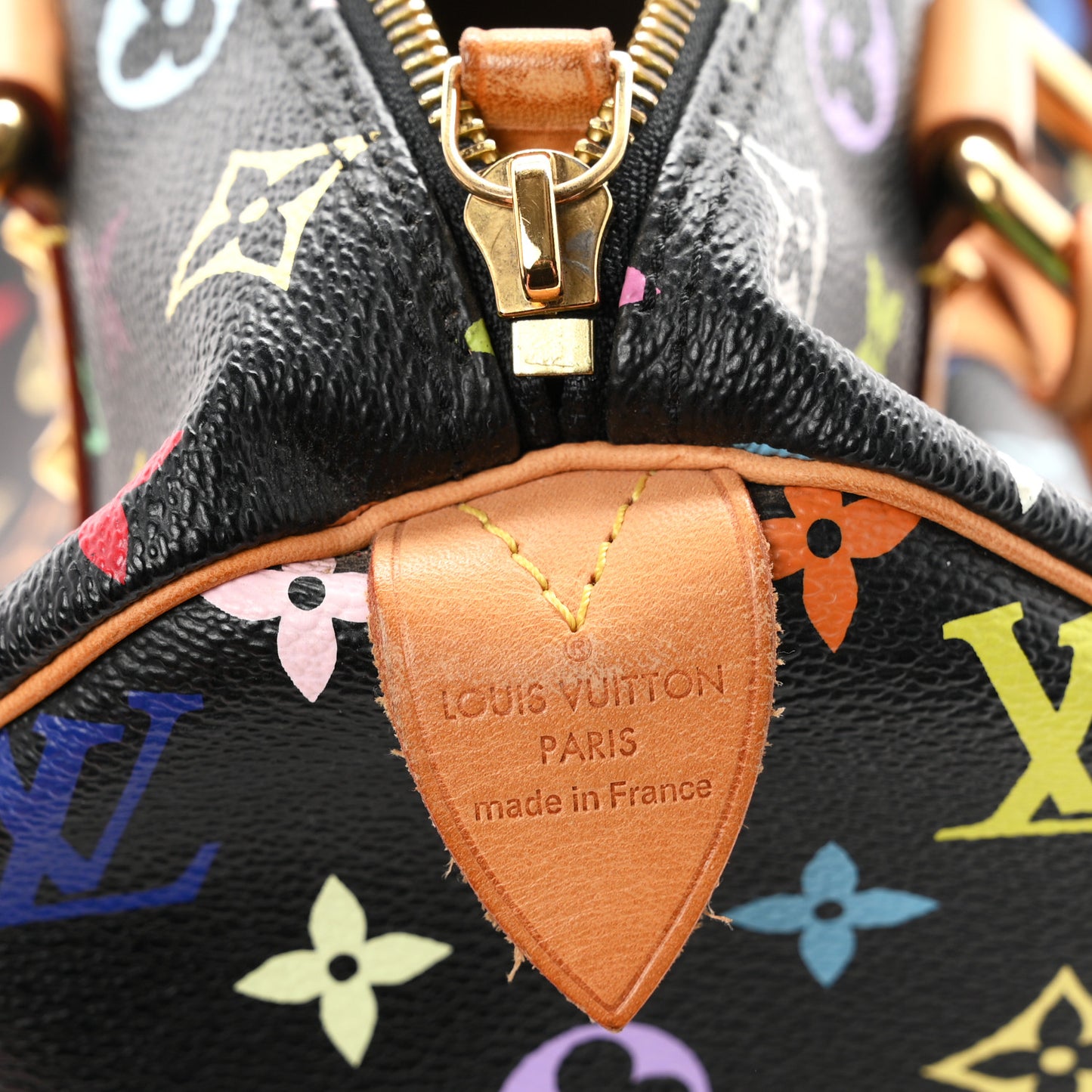 Monogram Multicolor Speedy 30 Black