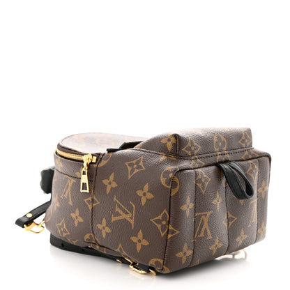 Louis Vuitton Monogram Palm Springs Backpack Mini 4 of 9