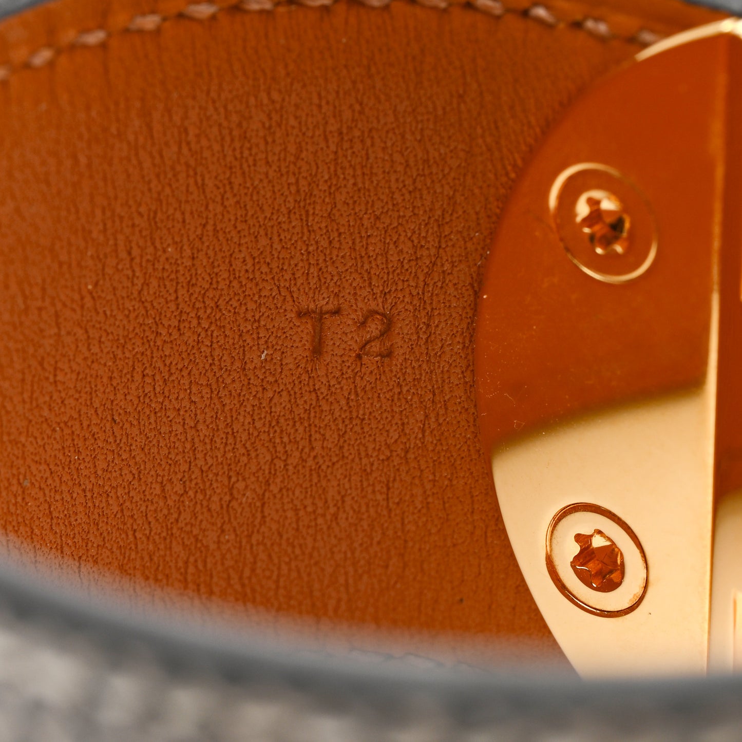Lizard 2002 Bracelet T2 Ombre