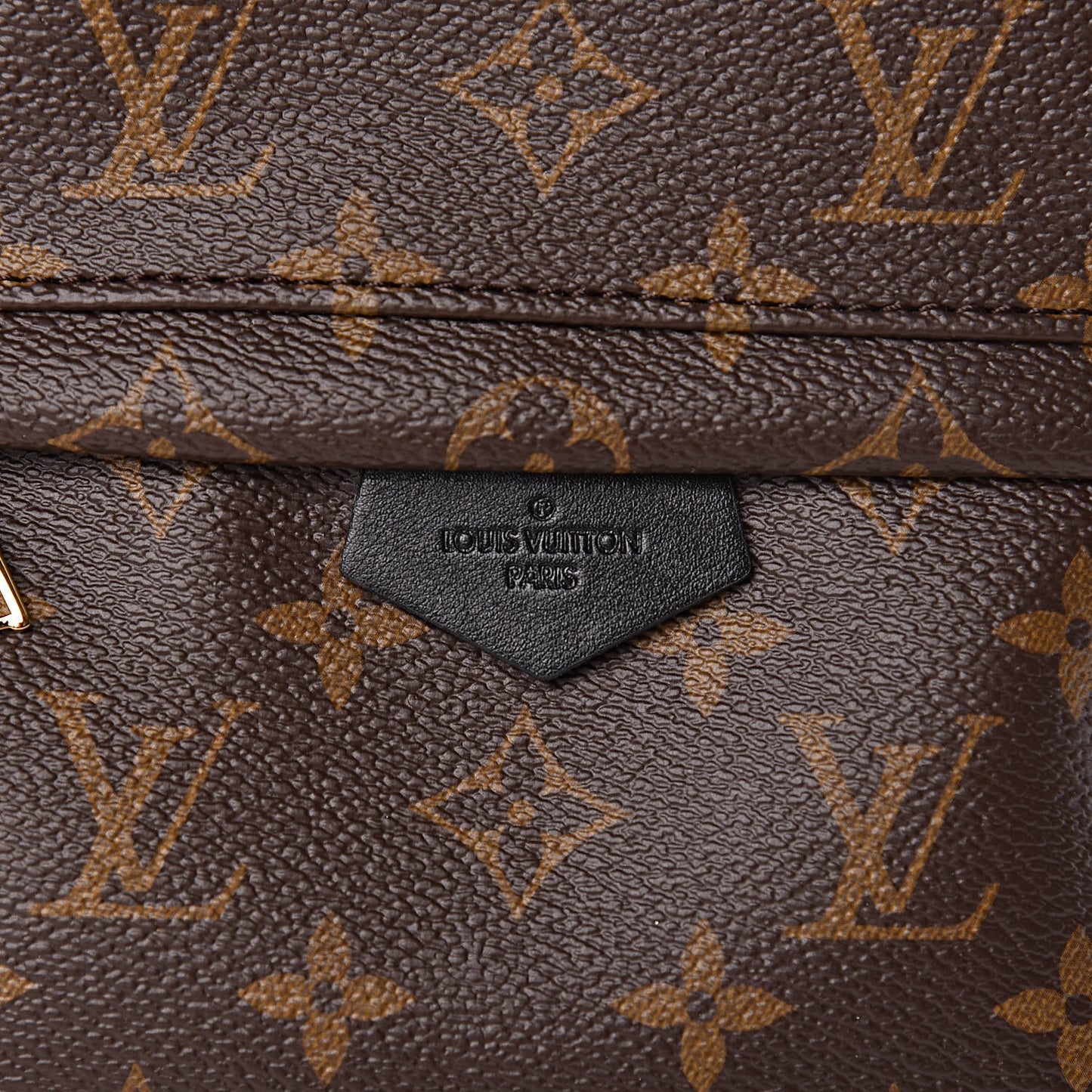 Monogram Palm Springs Backpack PM