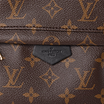 Louis Vuitton Monogram Palm Springs Backpack PM 9 of 10