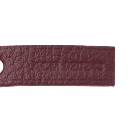 Goyard Goyardine Saint Louis PM Bordeaux 8 of 11