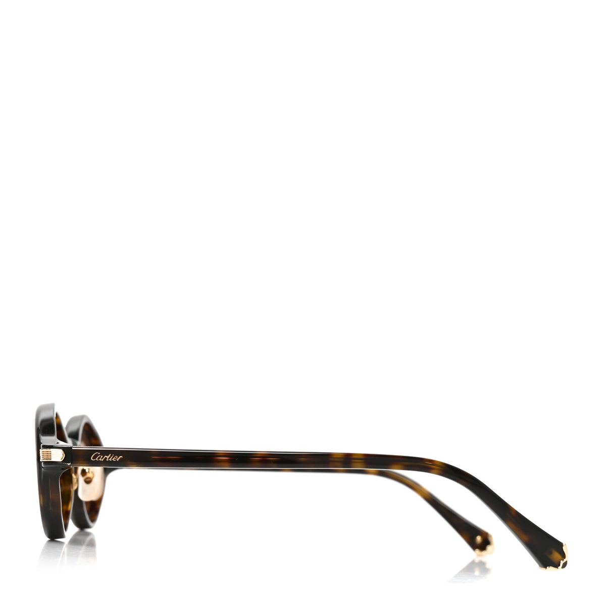 Acetate CT0540S Sunglasses Havana