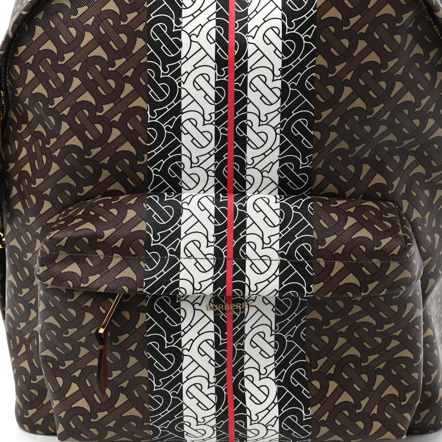 E-Canvas Monogram Stripe Backpack Bridle Brown