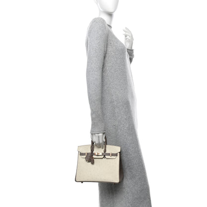 Hermes Ostrich Horseshoe Birkin 25 Beton Gris Tourterelle 2 of 10