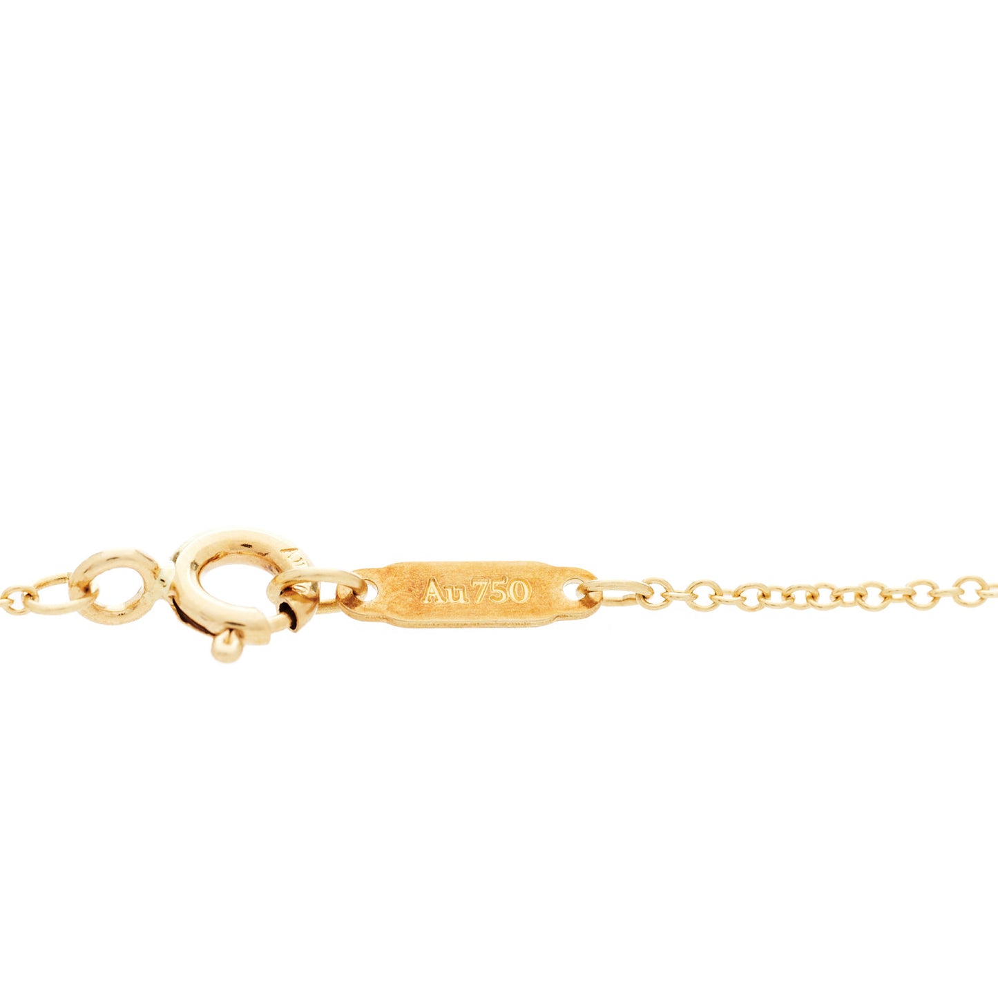 18K Yellow Gold Save The Wild Lion Charm Pendant Necklace