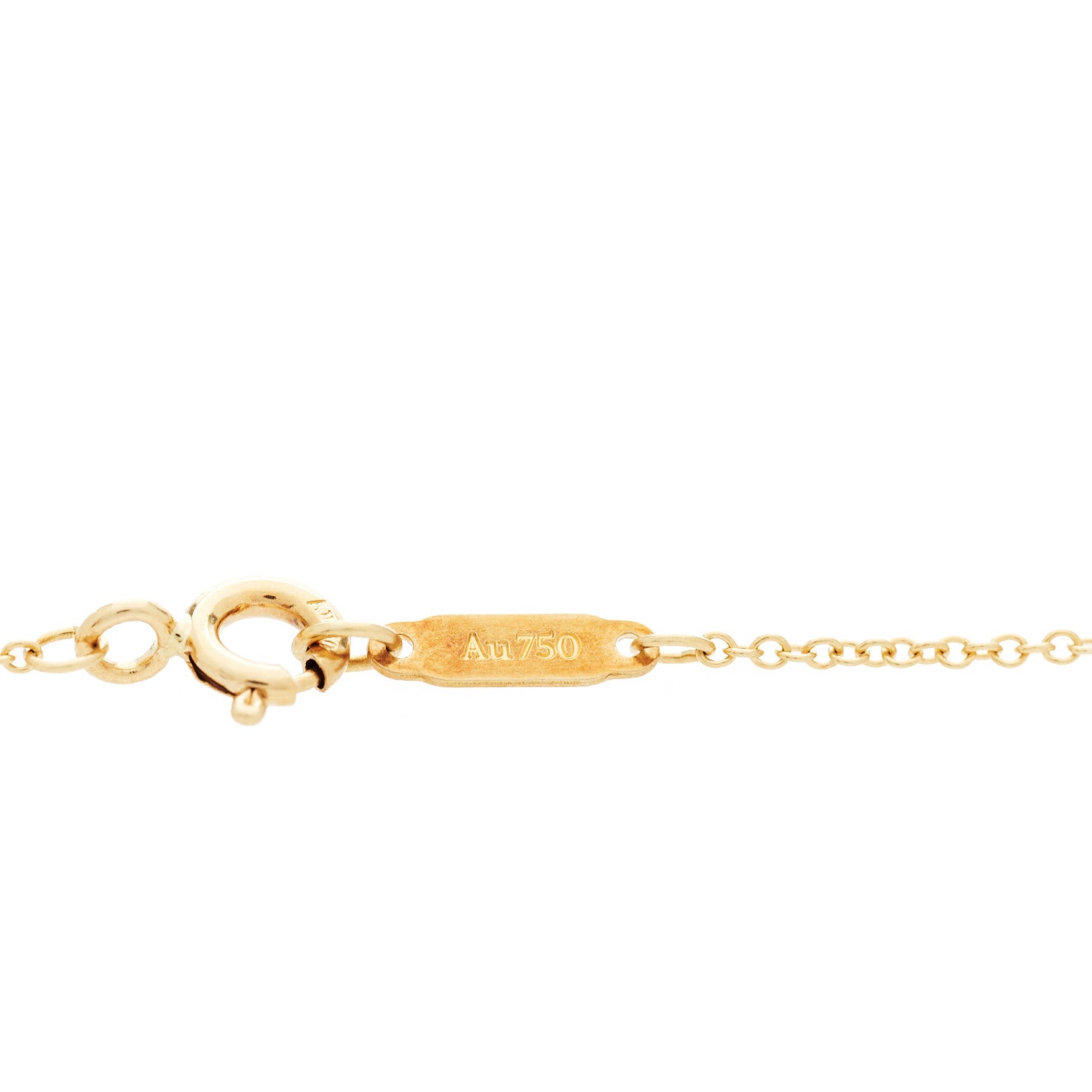 Tiffany 18K Yellow Gold Save The Wild Lion Charm Pendant Necklace 6 of 6