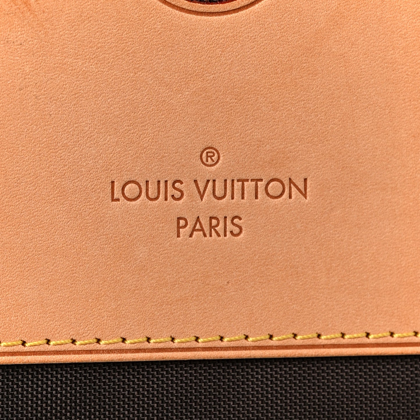 Monogram Pegase 55 Business