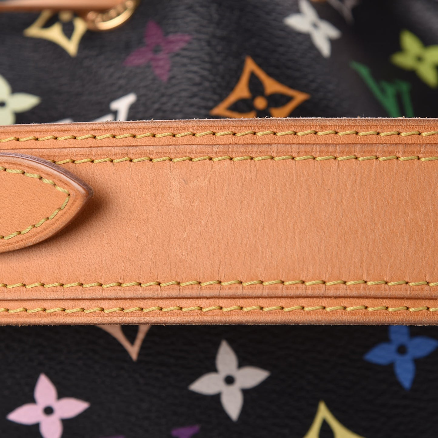 Monogram Multicolor Petit Noe Black