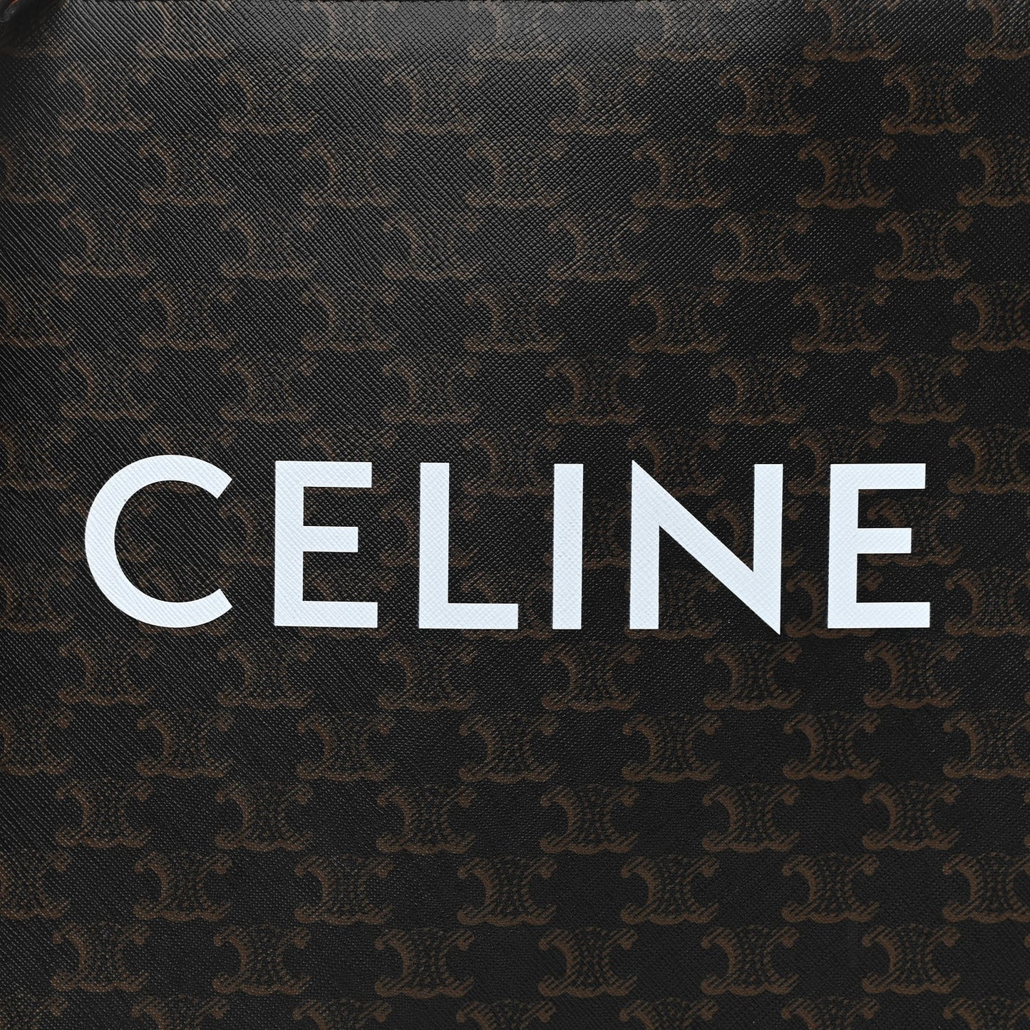 Triomphe Canvas Calfskin Small Vertical Cabas Tan