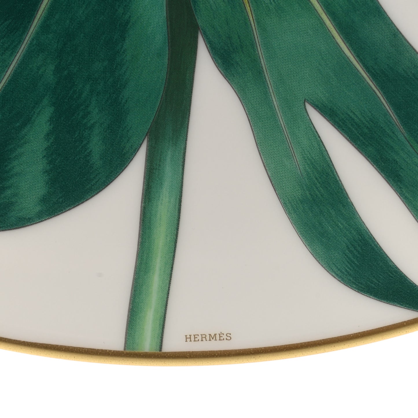 Porcelain Passifolia Dinner Plate N°1 Set of 2