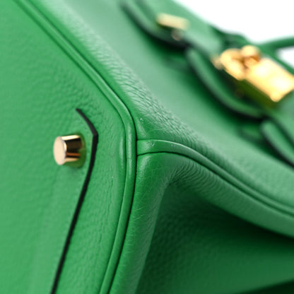 Hermes Togo Birkin 25 Bambou 9 of 12