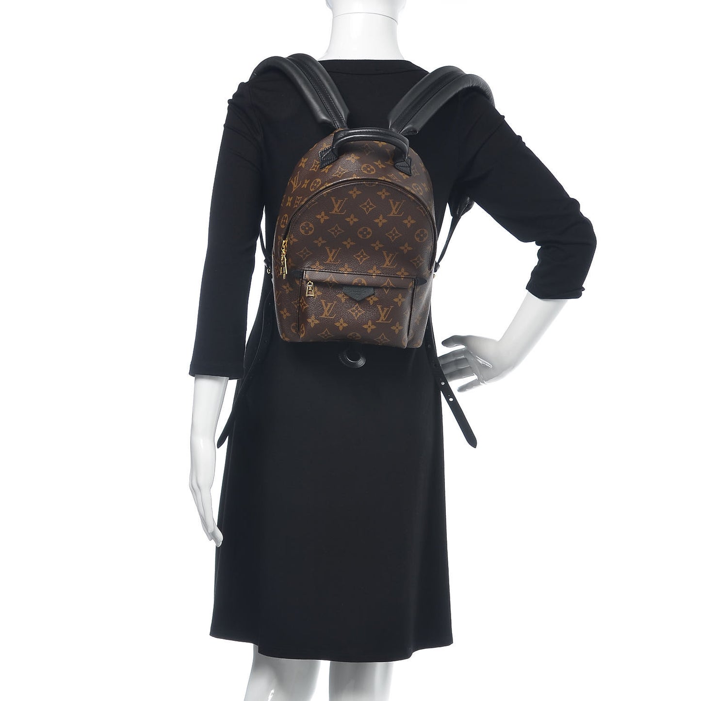 Monogram Palm Springs Backpack PM