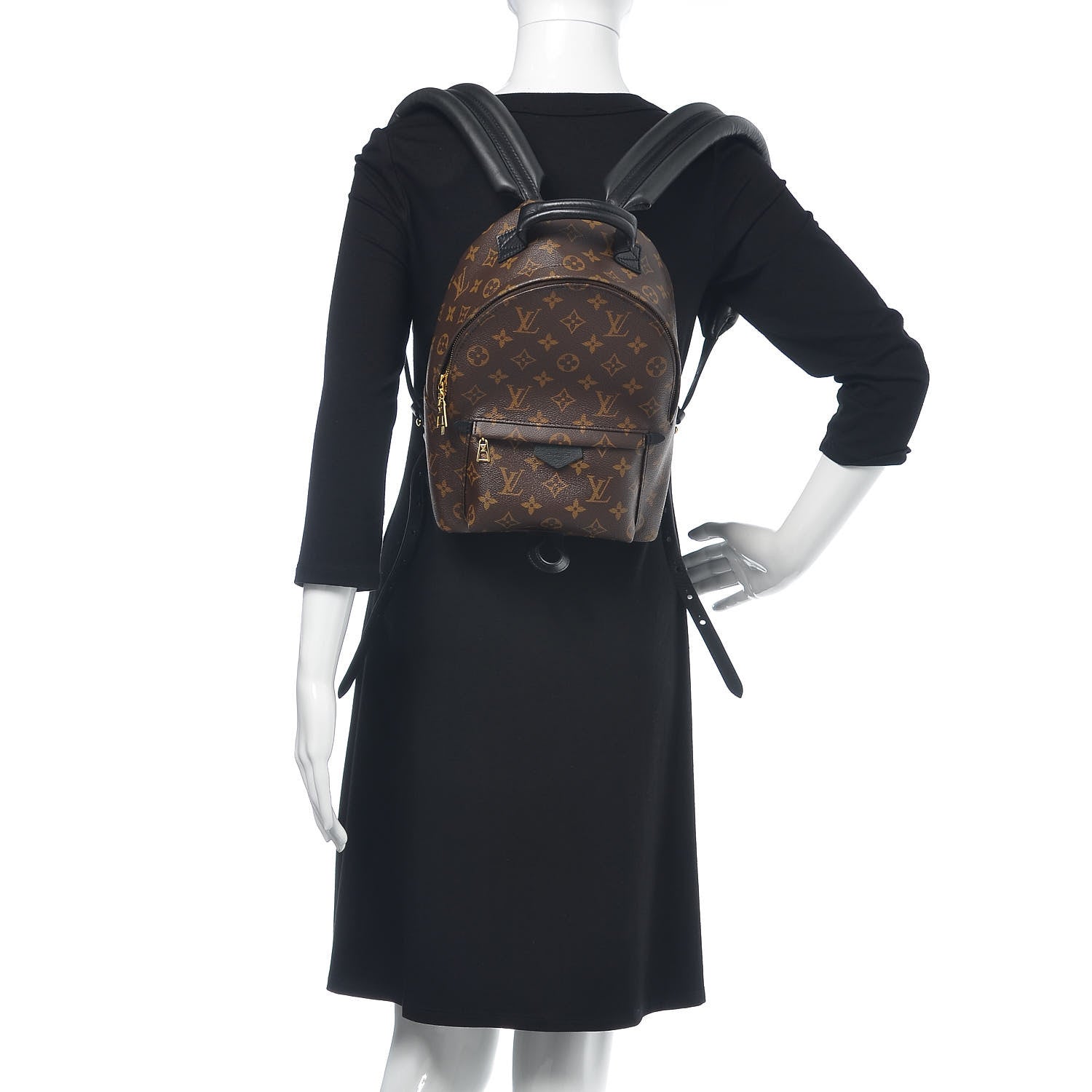 Louis Vuitton Monogram Palm Springs Backpack PM 2 of 9