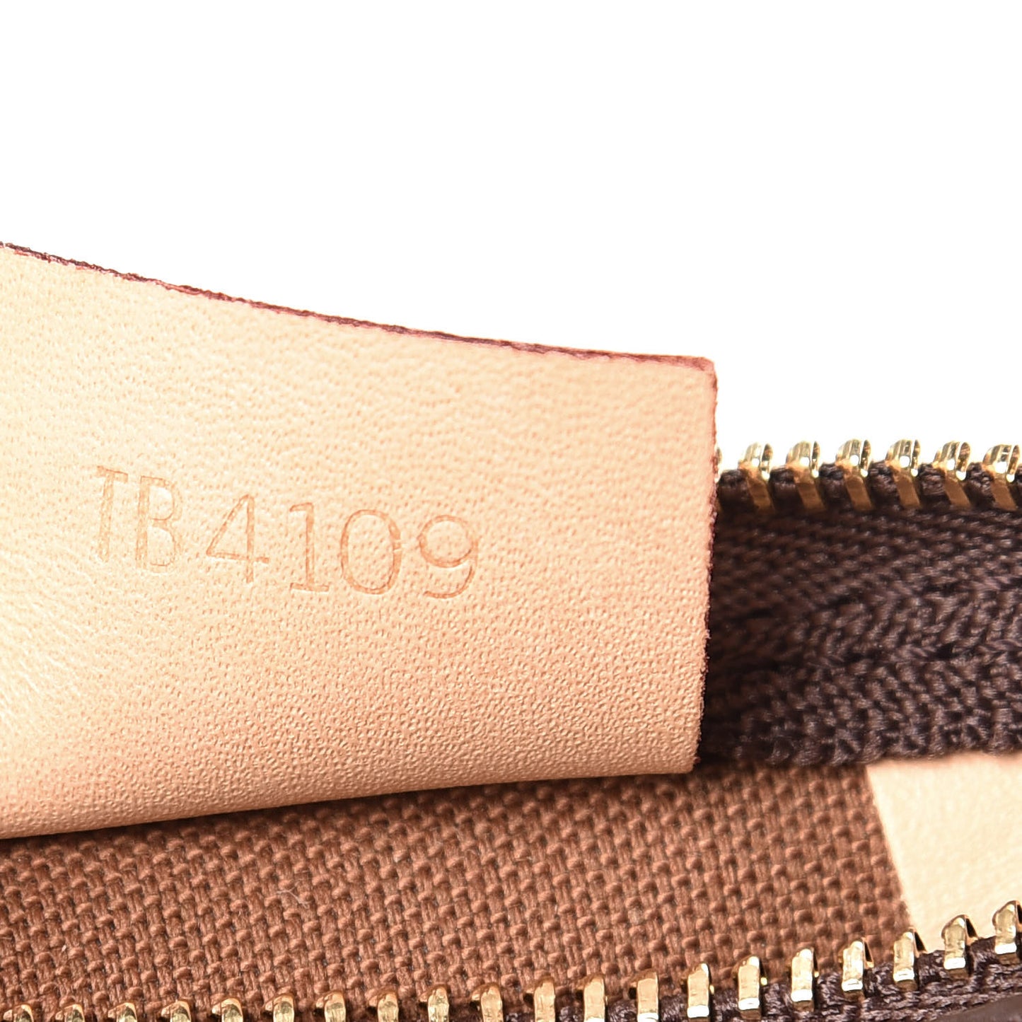 Monogram Nano Speedy