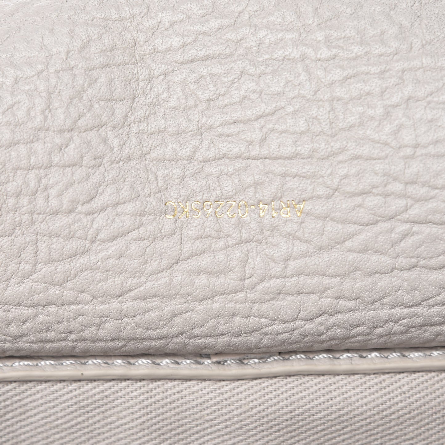 3.1 Textured Calfskin Mini Pashli Satchel Feather