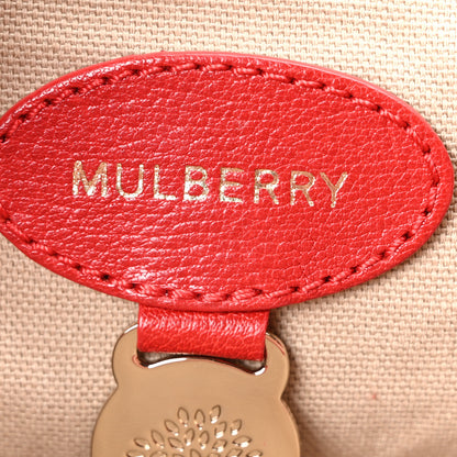 Mulberry Glossy Goatskin Medium Alexa Poppy Red 6 of 11