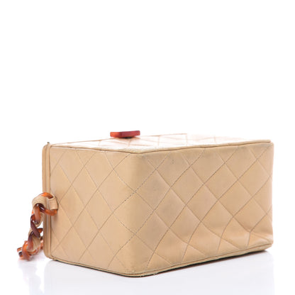 Chanel Lambskin Quilted Tortoise Box Bag Beige 4 of 19