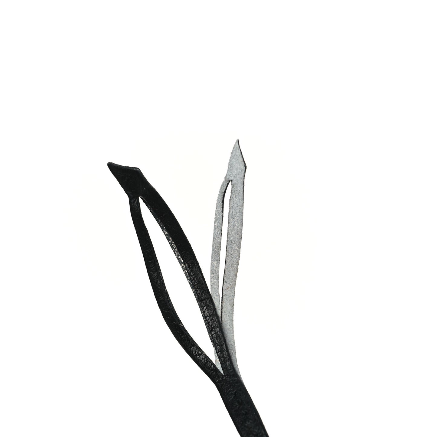 Taurillon Clemence Kelly Retourne 28 Black