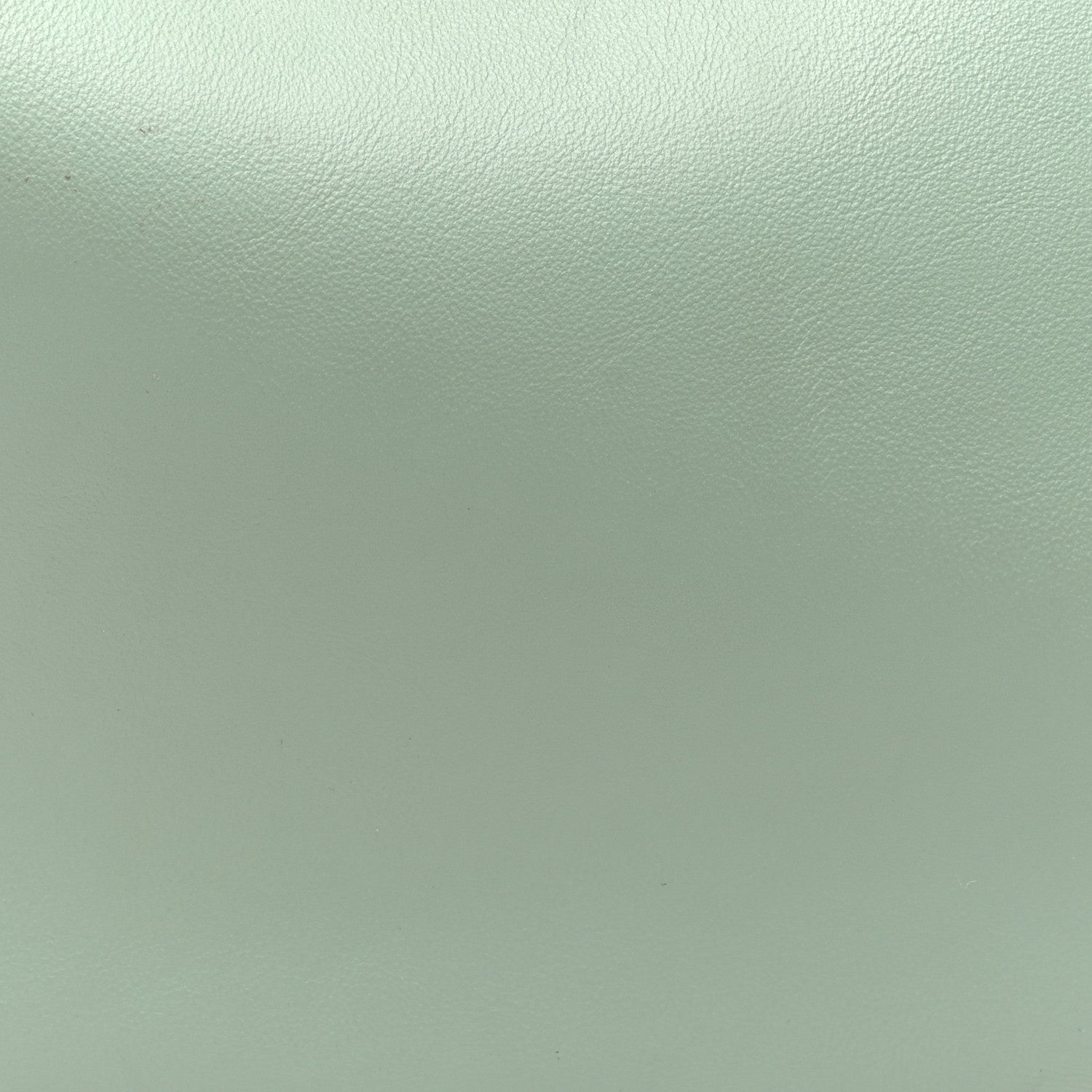 Fendi Vitello Grace Matte Small Fendigraphy Hobo Bag Menta 8 of 10