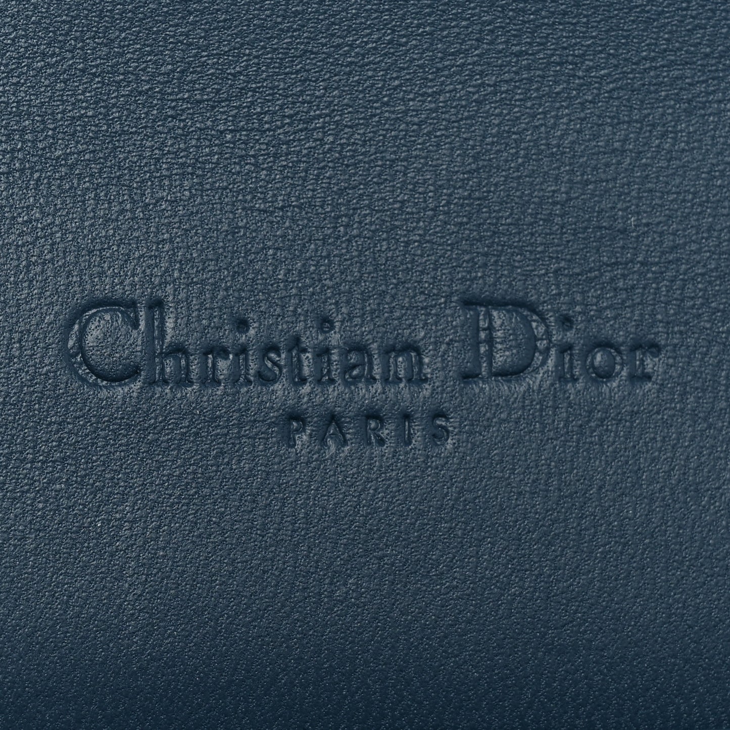 Alligator Lady Dior Pouch Blue