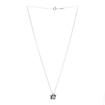 Tiffany Sterling Silver Elsa Peretti Star Pendant Necklace 3 of 5