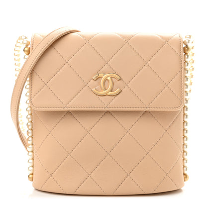 Chanel Calfskin Quilted Pearl Small Hobo Bag Beige 1 of 11