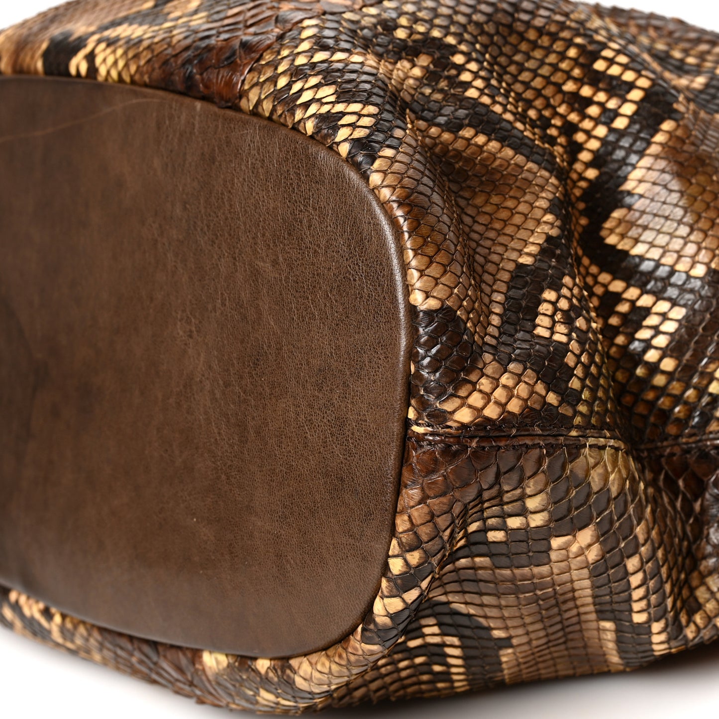 Python Medium Nightingale Brown Multicolor
