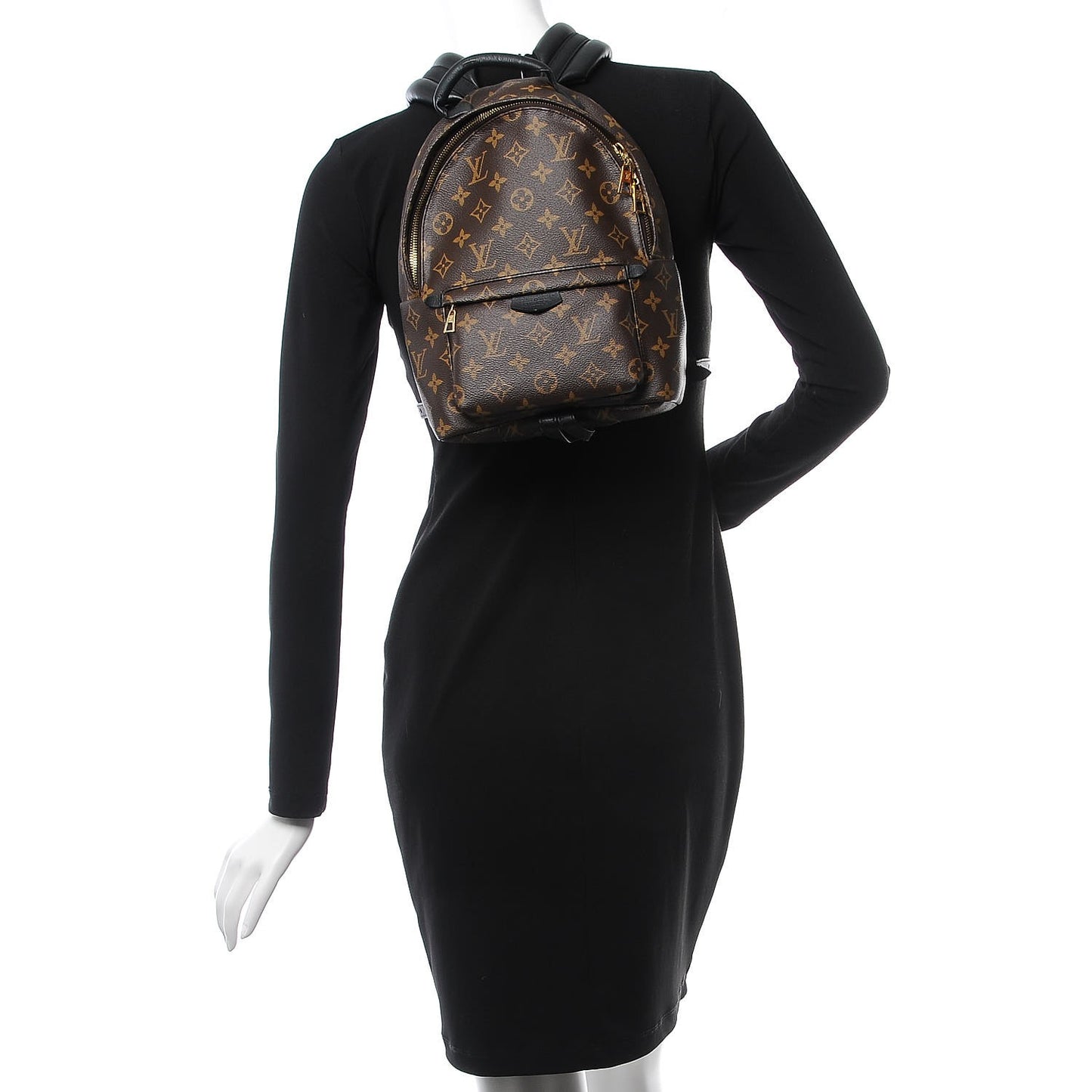 Monogram Palm Springs Backpack PM