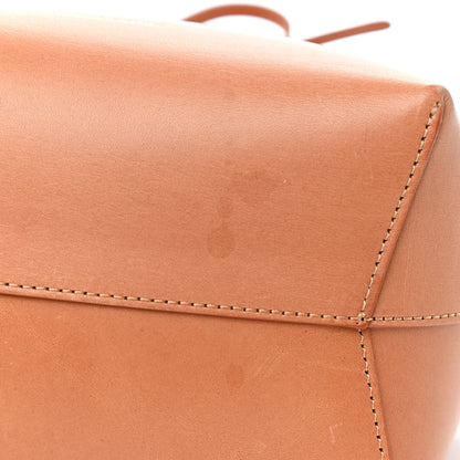Mansur Gavriel Vegetable Tanned Calfskin Mini Bucket Bag Camello Antico 10 of 10