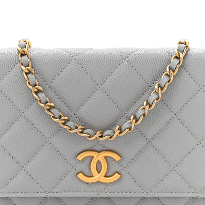 Chanel Caviar Quilted Textured CC Wallet On Chain WOC Grey 9 of 12