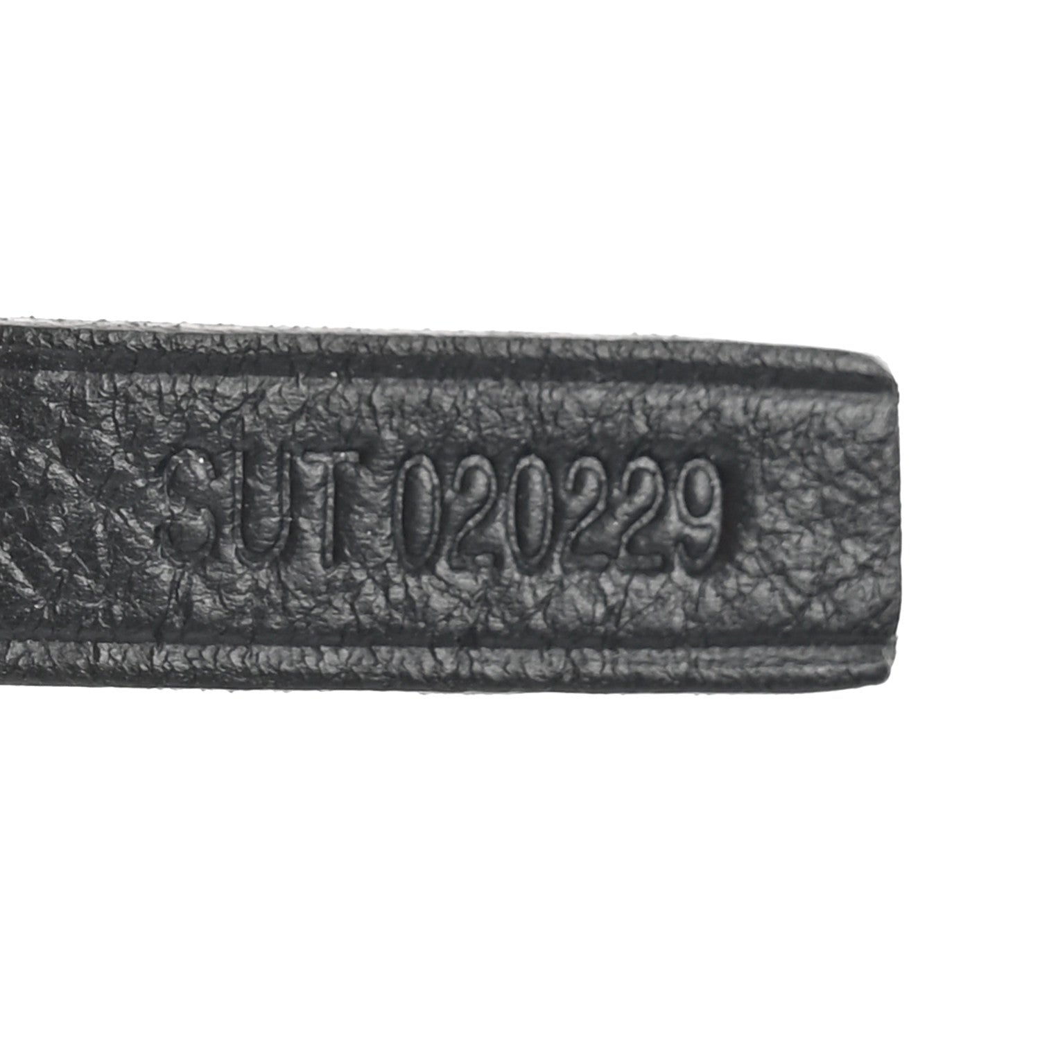 Goyard Goyardine Reversible Mini Anjou Black 12 of 18