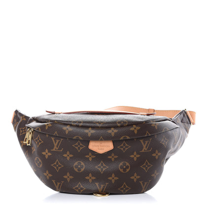 Louis Vuitton Monogram Bumbag 1 of 7