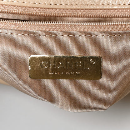 Chanel Shiny Goatskin Quilted Medium Chanel 19 Flap Beige 6 of 15
