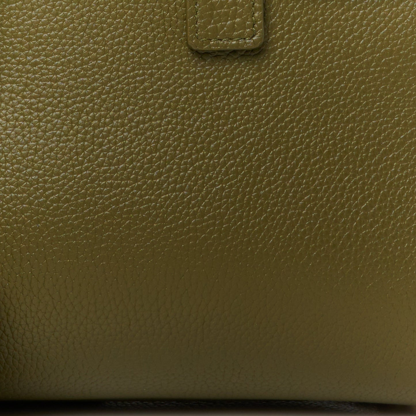 Grained Calfskin Nano Supple Sac De Jour Green