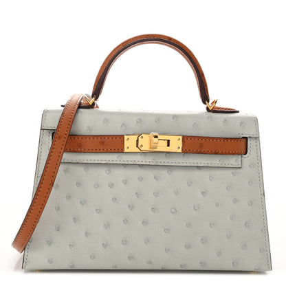 Hermes Ostrich Horseshoe Mini Kelly Sellier 20 Gris Perle Gold 1 of 10