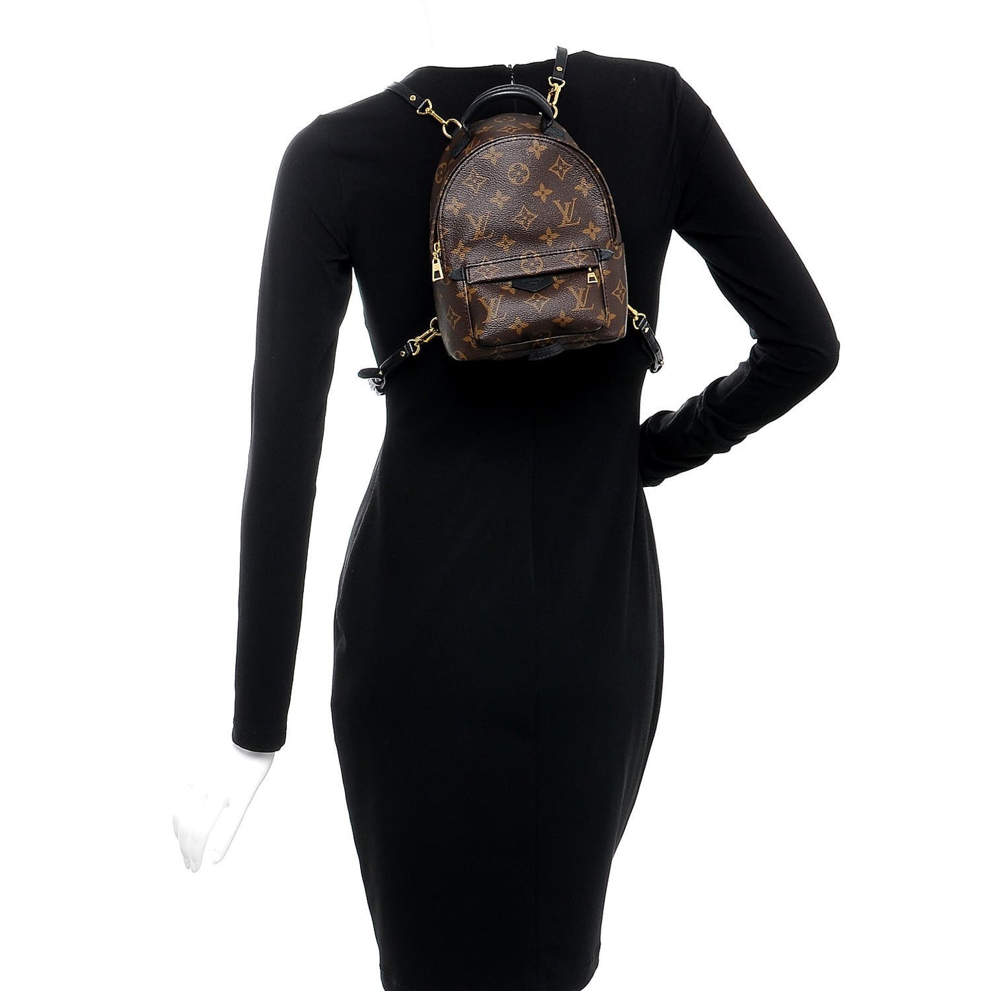 Monogram Palm Springs Backpack Mini