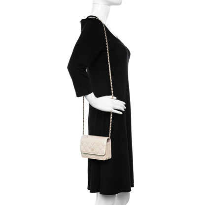 Chanel Iridescent Lambskin Quilted Mini Wallet On Chain WOC Ivory 2 of 10
