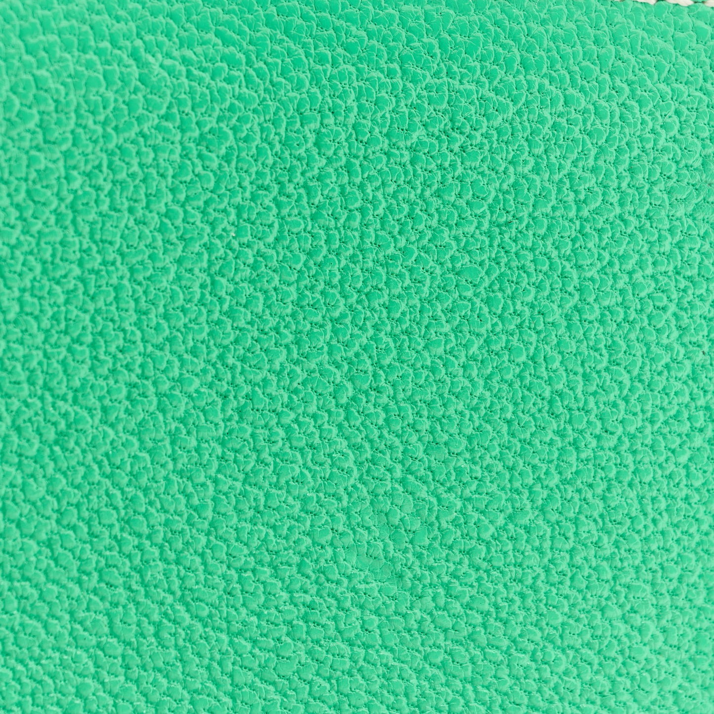 Chevre Mysore Sellier Card Holder Vert Comics Vert Fizz