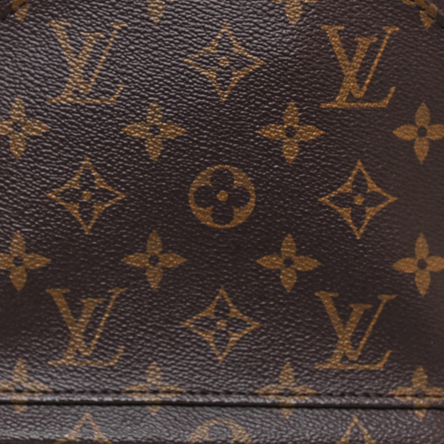 Monogram Palm Springs Backpack PM