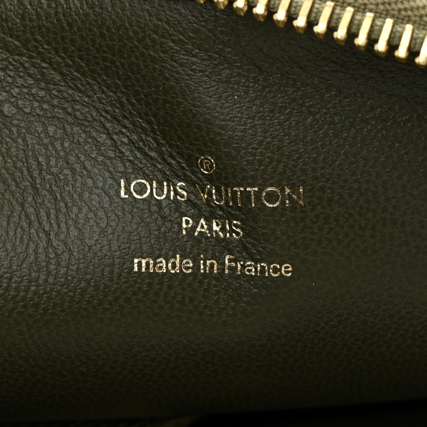 Louis Vuitton Lambskin Embossed Monogram Coussin MM Khaki 7 of 10