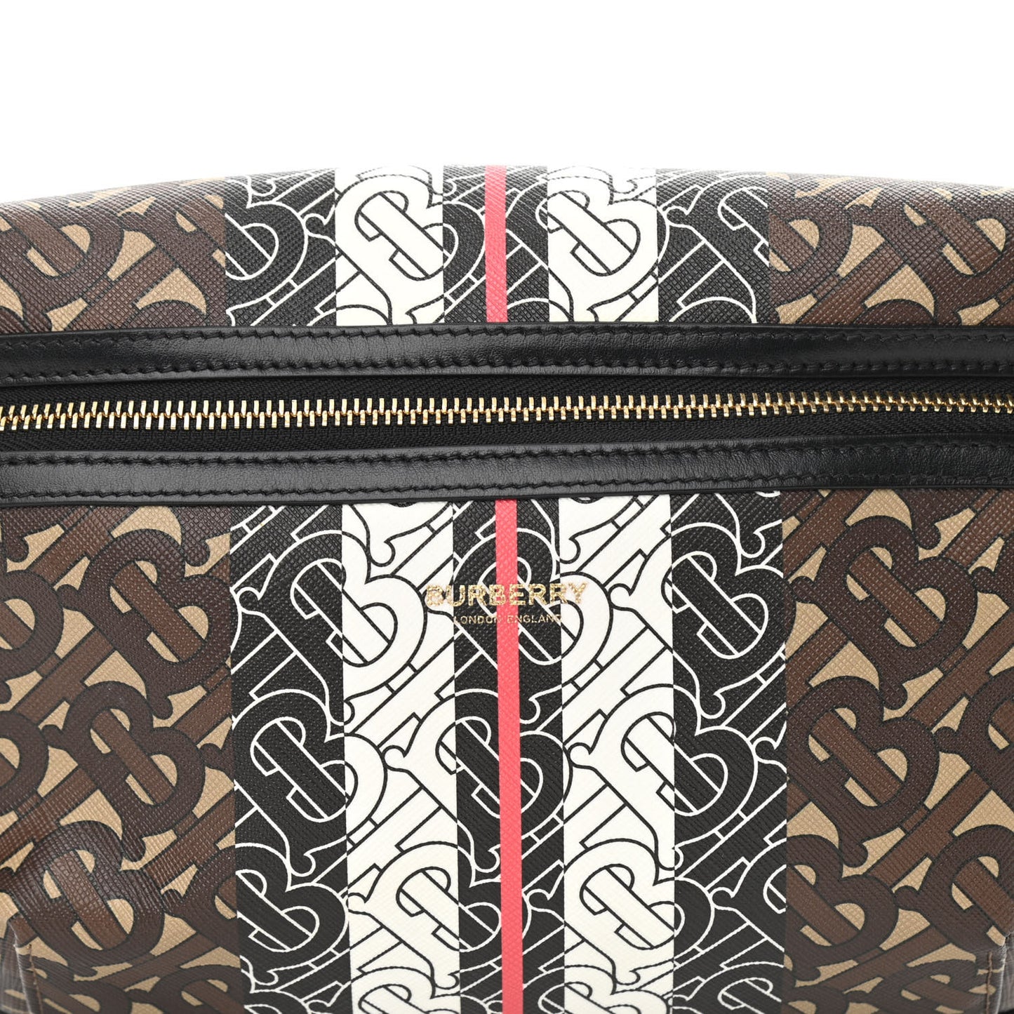 E-Canvas Monogram Stripe Medium Sonny Bum Bag Bridle Brown