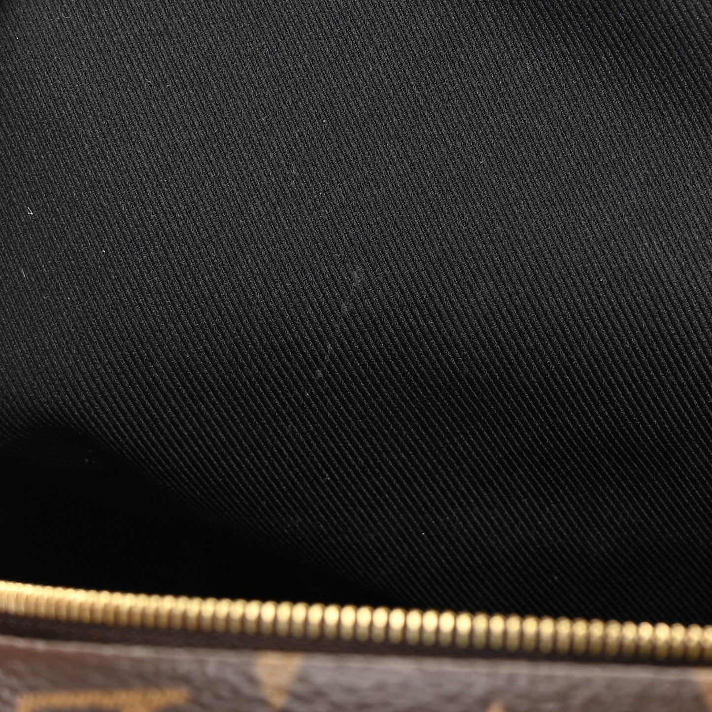 Monogram Palm Springs Backpack Mini